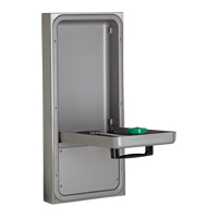 Eye/Face Wash Station, Wall-Mount Installation Pathway Supply LP