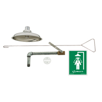 Drench Shower, Ceiling-Mount Pathway Supply LP