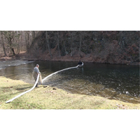 Balle SpillBoa, Huile seulement, 25' lo x 5" la, Absorption 28 gal., 4 /pqt Pathway Supply LP