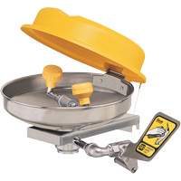 Eyewash Station, Wall-Mount Installation, Stainless Steel Bowl Pathway Supply LP