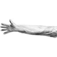 Gants jetables, Grand, Poly&eacute;thyl&egrave;ne, 9 mils, Poudr&eacute;s, Transparent Pathway Supply LP