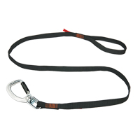 Longe porte-outils &agrave; rotule et &agrave; verrouillage double Squids 3129, Longueur fixe, Mousqueton/boucle Pathway Supply LP