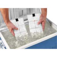 Sachets pour veste de refroidissement &agrave; changement de phase 6260 Chill-Its Pathway Supply LP