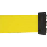 Wall Mount Barrier with Magnetic Tape, Steel, Screw Mount, 12', Yellow Tape Pathway Supply LP