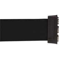 Wall Mount Barrier with Magnetic Tape, Steel, Screw Mount, 12', Black Tape Pathway Supply LP