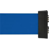 Wall Mount Barrier with Magnetic Tape, Steel, Screw Mount, 7', Blue Tape Pathway Supply LP