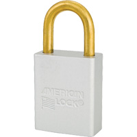 Cadenas de s&eacute;curit&eacute; American Lock, Transparent, Cl&eacute;s identiques, Aluminium, Largeur de 1-1/2" Pathway Supply LP