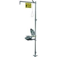 Halo Shower & Eye/Face Wash Unit, Pedestal Pathway Supply LP