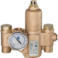 Robinet mitigeur thermostatique pour luminaires durgence Navigator EFX20, 30 gal./min Pathway Supply LP