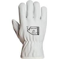 Gants de conducteur doubl&eacute;s pour l'hiver Endura, T-Grand, Paume en Cuir fleur de ch&egrave;vre, Thinsulate Pathway Supply LP