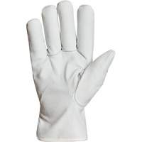 Gants de conducteur doubl&eacute;s pour l'hiver Endura, T-Grand, Paume en Cuir fleur de ch&egrave;vre, Thinsulate Pathway Supply LP