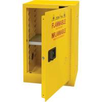 Flammable Storage Cabinet, 12 gal., 1 Door, 23" W x 35" H x 18" D Pathway Supply LP