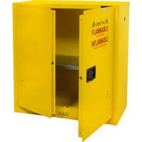 Flammable Storage Cabinet, 30 gal., 2 Door, 43" W x 44" H x 18" D Pathway Supply LP