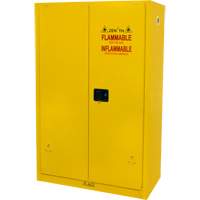 Flammable Storage Cabinet, 45 gal., 2 Door, 43" W x 65" H x 18" D Pathway Supply LP