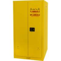 Armoire pour produits inflammables, 60 gal., 2 Porte(s), 34" La x 65" h x 34" p Pathway Supply LP