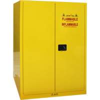 Armoire pour produits inflammables, 90 gal., 2 Porte(s), 43" La x 66" h x 34" p Pathway Supply LP