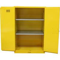 Armoire pour produits inflammables, 90 gal., 2 Porte(s), 43" La x 66" h x 34" p Pathway Supply LP