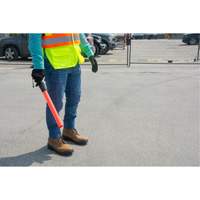 B&acirc;ton de s&eacute;curit&eacute; lumineux Pathway Supply LP