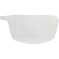 Primair&reg; 900 Series Peel-Off Visor Cover Pathway Supply LP