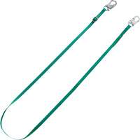 V-Series Tieback Restraint Lanyard, 10' Pathway Supply LP