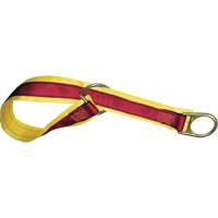 Courroie de connecteur d'ancrage 4', Anneau en D, Usage Temporaire Pathway Supply LP