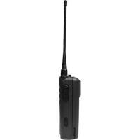 CP100d Series Non-Display Portable Two-Way Radio Pathway Supply LP