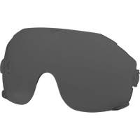 Eye Visor Replacement Lenses, Grey/Smoke Tint Pathway Supply LP
