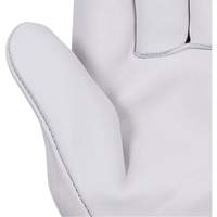 535G Beige Driver's Gloves, Small, Grain Cowhide Palm Pathway Supply LP