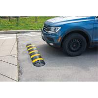 Speed Bump Kit, Rubber, 4' L x 11" W x 2" H Pathway Supply LP