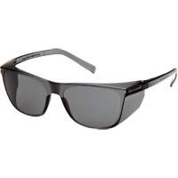 Lunettes de s&eacute;curit&eacute; Legacy, Lentille Gris, ANSI Z87+/R&eacute;pond ou surpasse la norme CSA Z94.3 Pathway Supply LP