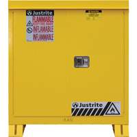 Outdoor Flammable Storage Cabinet, 30 gal., 2 Door, 43" W x 44" H x 18" D Pathway Supply LP