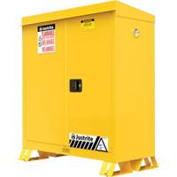 Outdoor Flammable Storage Cabinet, 30 gal., 2 Door, 43" W x 44" H x 18" D Pathway Supply LP