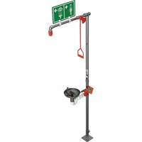 Combination Shower with Open Stainless Steel Bowl & Top Inlet, Pedestal Pathway Supply LP