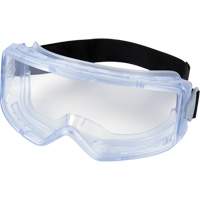 Safety Goggles