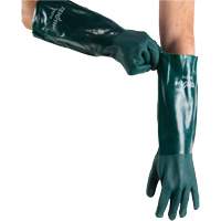Gants verts &agrave; double enduit, 18" lo, PVC, Doublure en Jersey de coton, 70 mils Pathway Supply LP