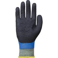 Gants r&eacute;sistants &agrave; la coupe &agrave; rev&ecirc;tement double SCXPNTFC, Taille 6, Calibre 13, Rev&ecirc;tement Nitrile, Enveloppe en ParaActiv, ASTM ANSI niveau A5 Pathway Supply LP