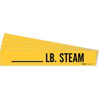 Marqueurs de tuyau LB. Steam, Autocollant, 2-1/4" h x 2-3/4" la, Noir sur jaune Pathway Supply LP