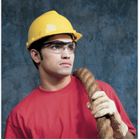 Storm&reg; Safety Glasses, Clear Lens, Anti-Scratch, ANSI Z87+ Pathway Supply LP