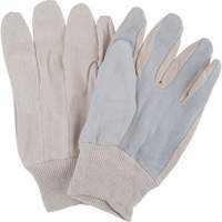 Gants de travail d'usage standard, Grand, Paume en Cuir de vache refendu Pathway Supply LP