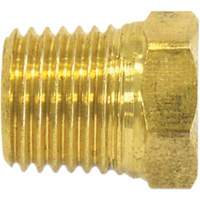 Pipe Plug (Hex Head), 1/2" Dia., Brass Pathway Supply LP