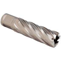 SST Annular Cutter, 1/2" Diameter, Bronze, 1" Depth of Cut, 3/4" Shank Pathway Supply LP