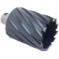 ICECUT Annular Cutter, 1/2" Diameter, Chromium Aluminum, 2" Depth of Cut, 3/4" Shank Pathway Supply LP