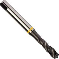 Taraud &agrave; goujures h&eacute;licoidales Yellow Shark, Acier rapide au cobalt, Filet de 1/4"-20, 3,15" l Pathway Supply LP