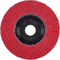 Flap Disc, 4-1/2" x 5/8"-11, Type 27, 40 Grit, Ceramic Pathway Supply LP