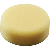 Polishing Pad, 3" Dia. Pathway Supply LP