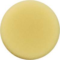 Polishing Pad, 3" Dia. Pathway Supply LP