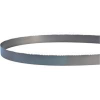 Welded Bandsaw Blade, Bi-Metal, 14' L x 1" W x 4 - 6 TPI Pathway Supply LP