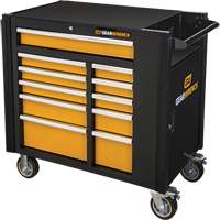 Rolling Tool Cabinets