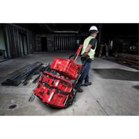 Packout 2-Wheel Cart Pathway Supply LP