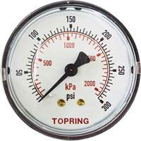 Replacement Pressure Gauge, 2" , 0 - 175 psi, Back Mount, Analogue Pathway Supply LP